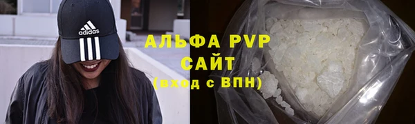 СК Горно-Алтайск