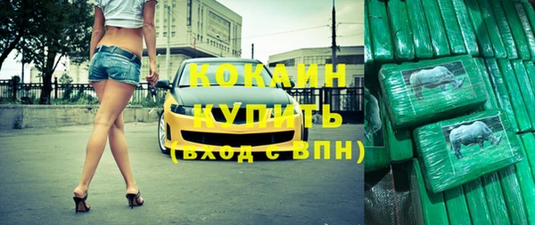 ПСИЛОЦИБИНОВЫЕ ГРИБЫ Гусев