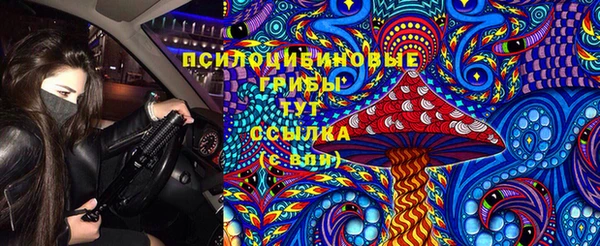 ПСИЛОЦИБИНОВЫЕ ГРИБЫ Гусев