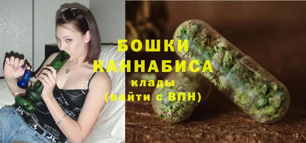 мдпв Гусь-Хрустальный