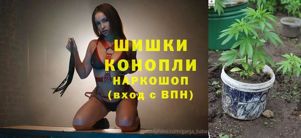 ПСИЛОЦИБИНОВЫЕ ГРИБЫ Гусев